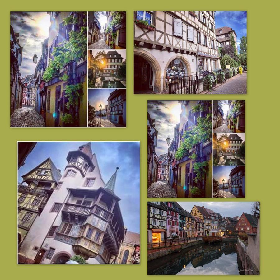 N¨°1 Schongauer Gite De Charme Centre Touristique كولمار المظهر الخارجي الصورة