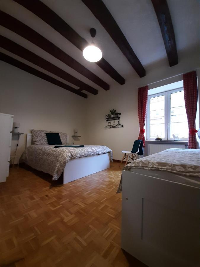 N¨°1 Schongauer Gite De Charme Centre Touristique كولمار المظهر الخارجي الصورة