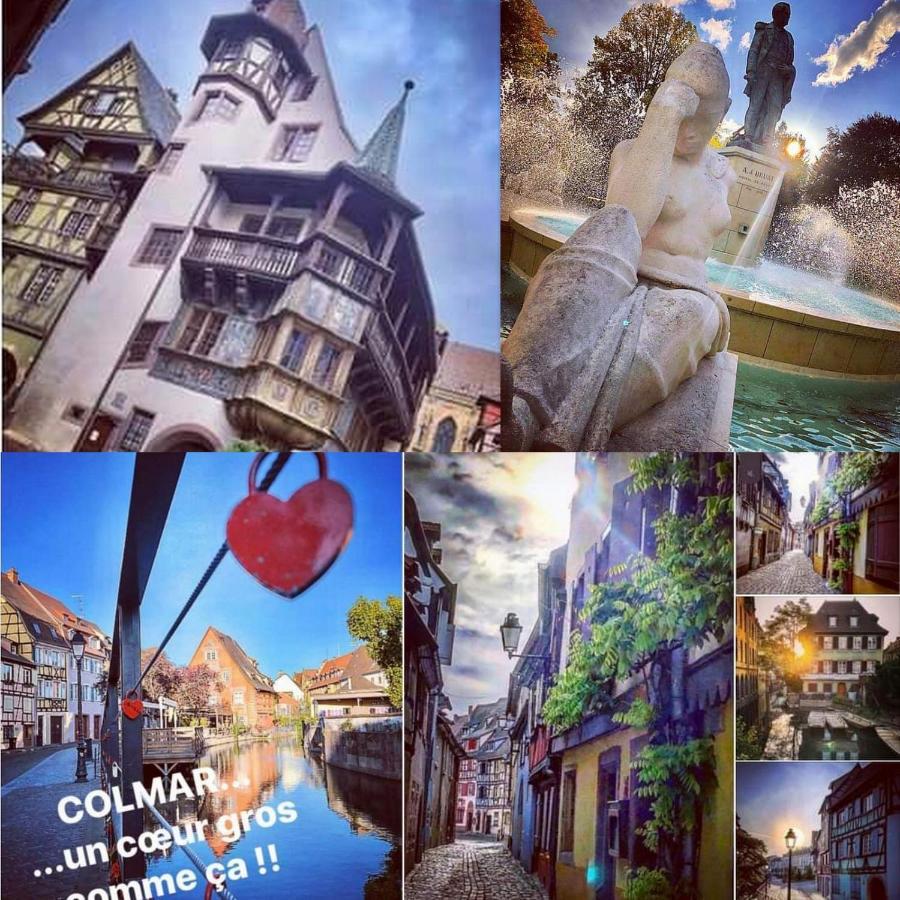 N¨°1 Schongauer Gite De Charme Centre Touristique كولمار المظهر الخارجي الصورة